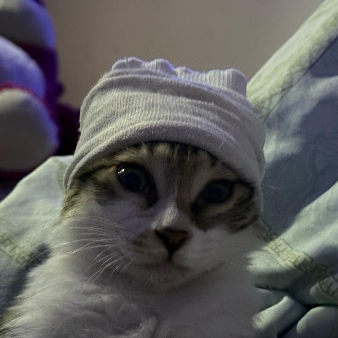 小口吃饭大口吃碗