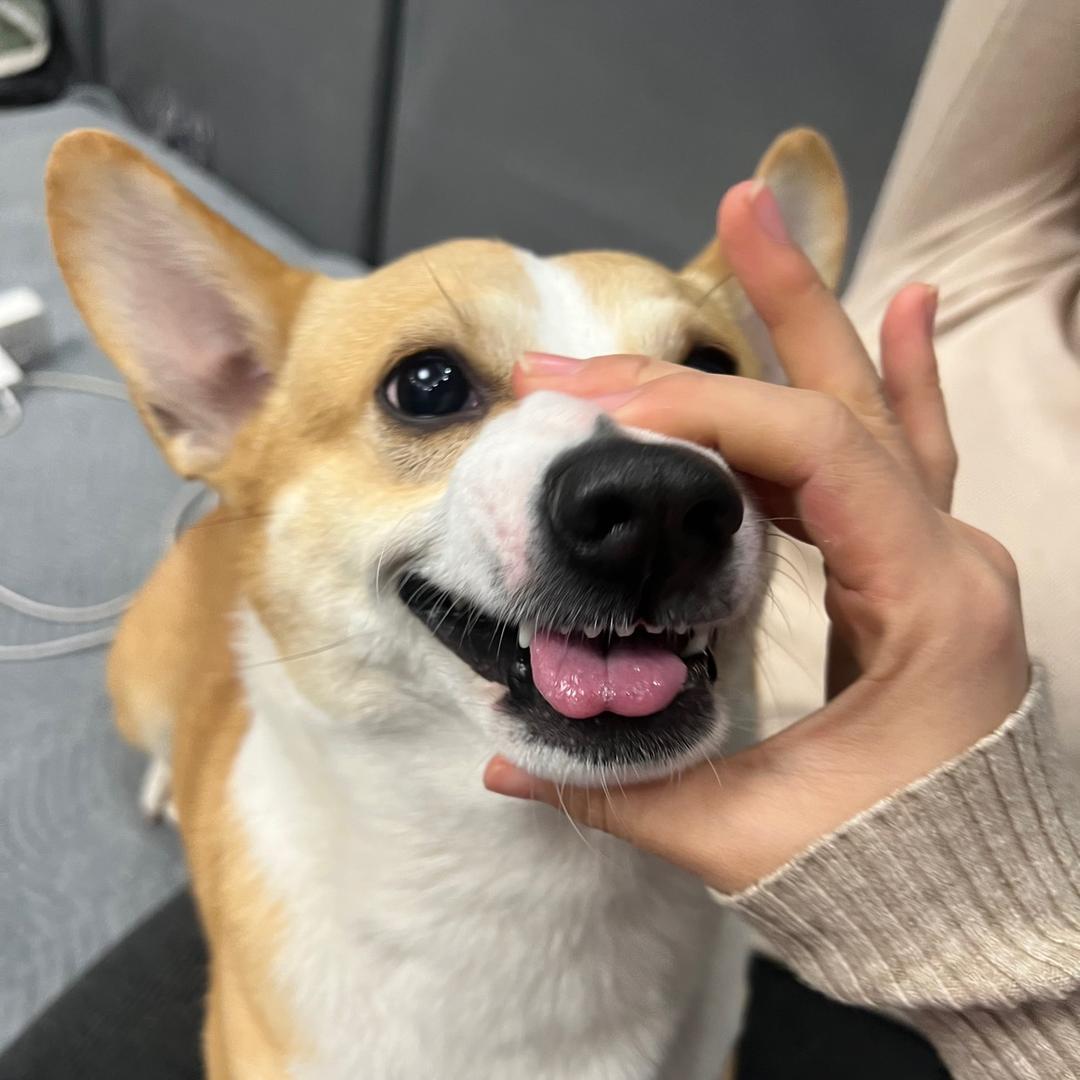 臭臭乖呀