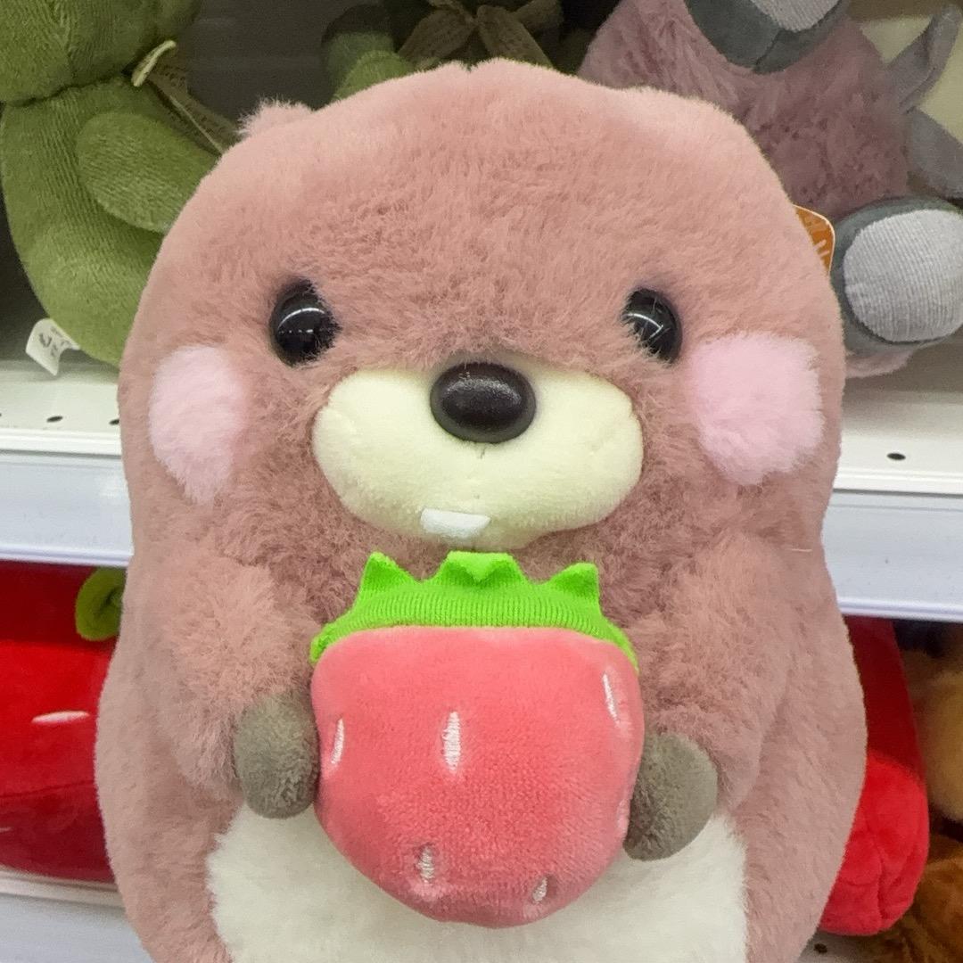 白熊🐻‍❄️小可爱