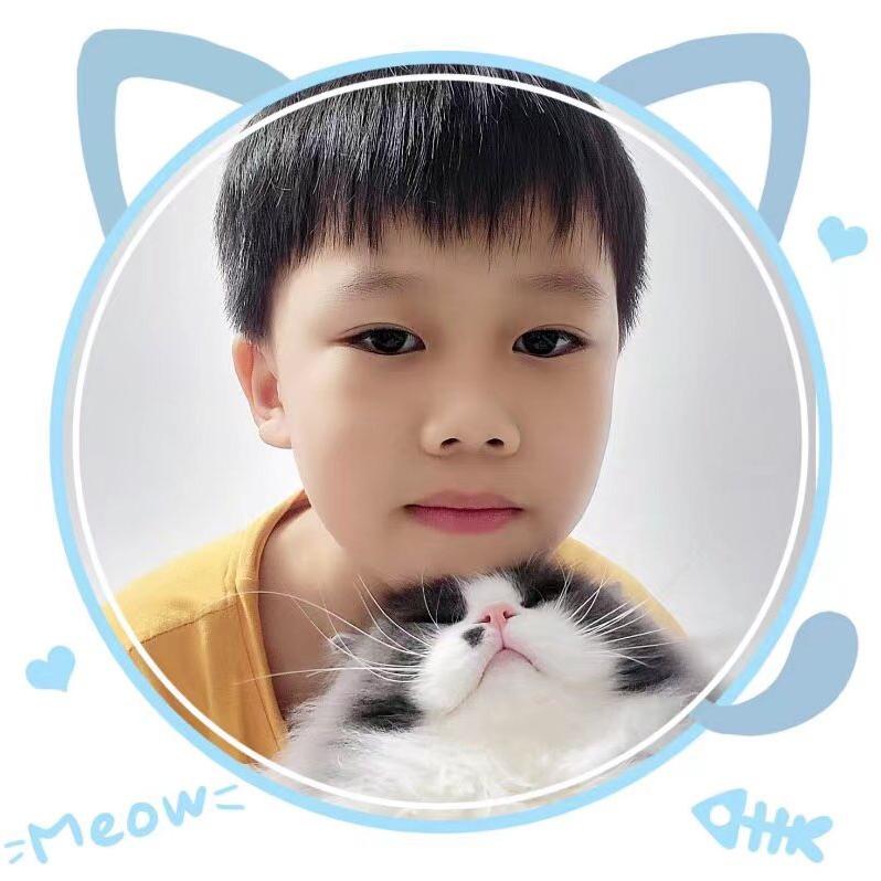 喜欢猫咪的我（开学停更）