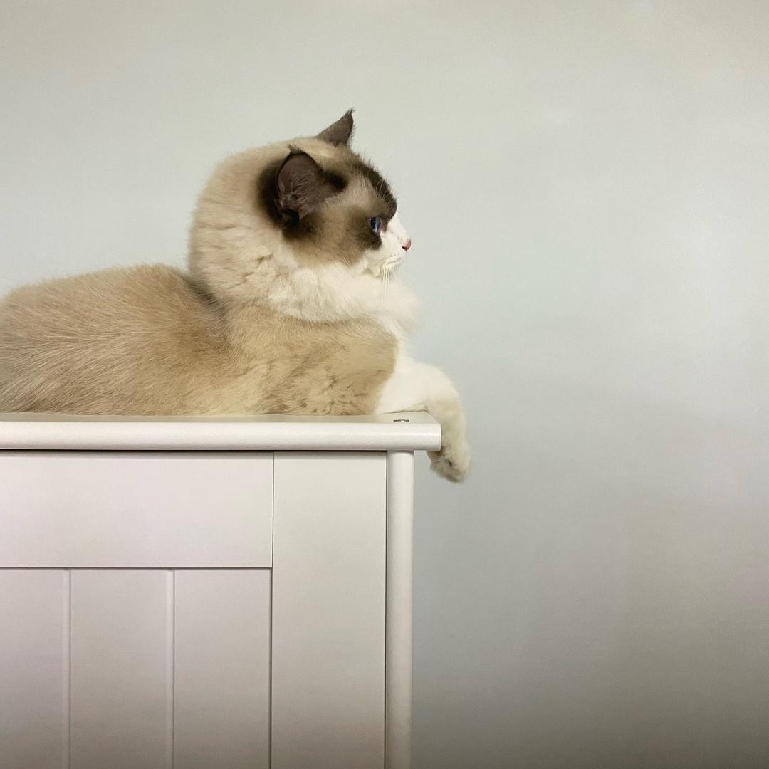 沁咿食品专营店