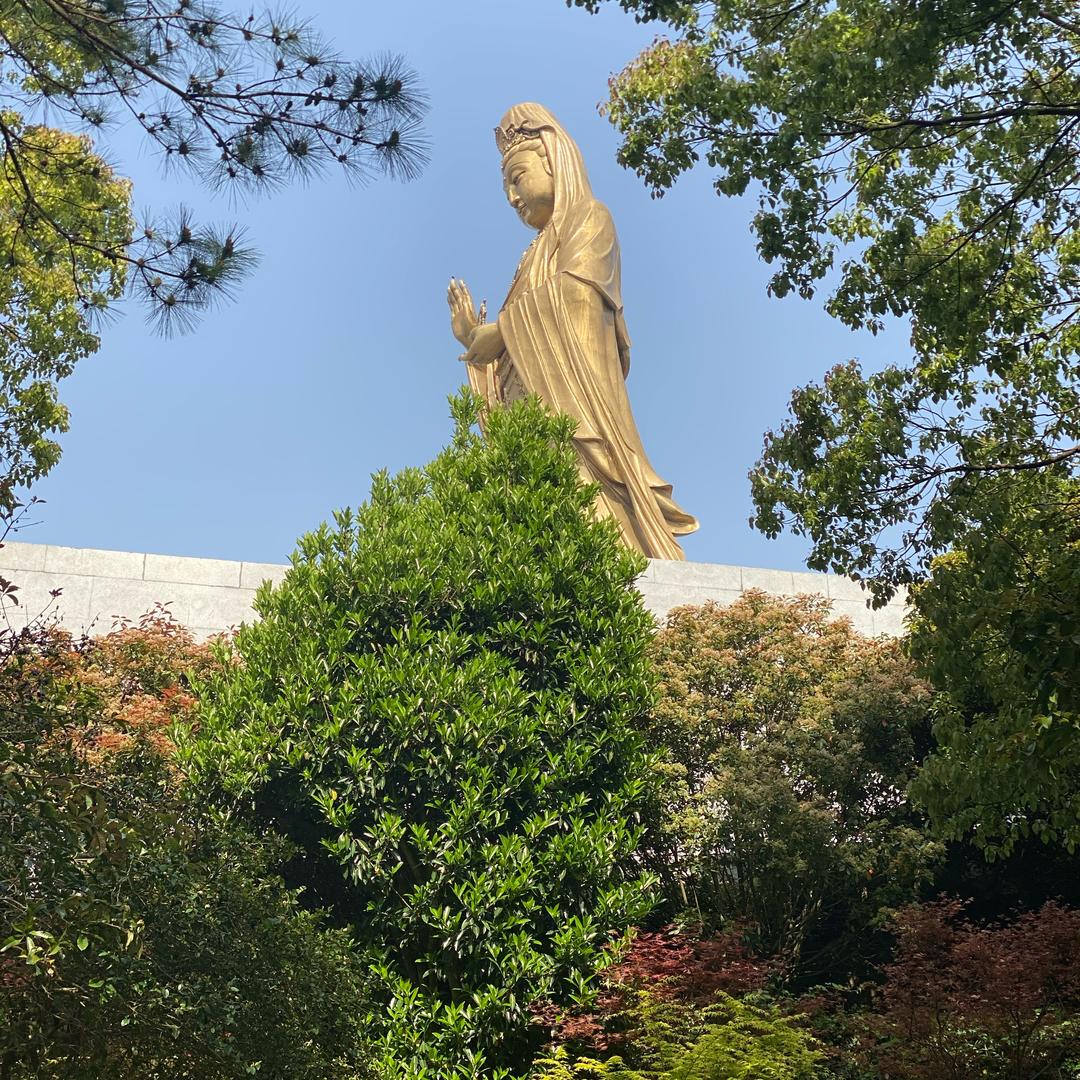 ─=≡Σ((( つ•̀ 3 •́)つ王