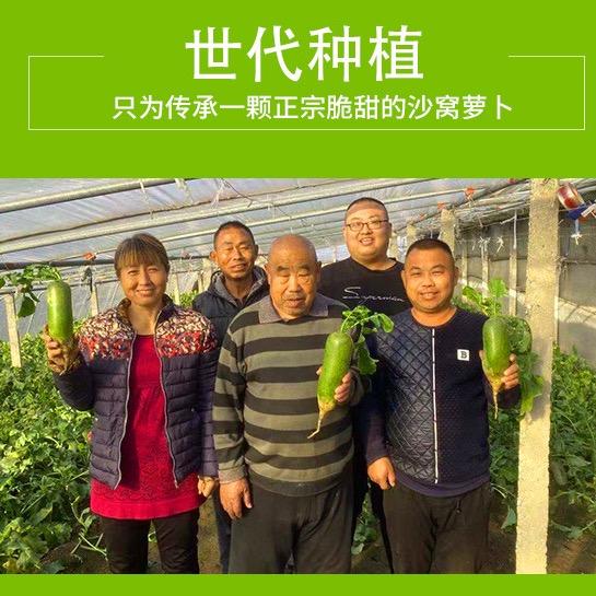天津市西青区圆圆萝卜种植中心