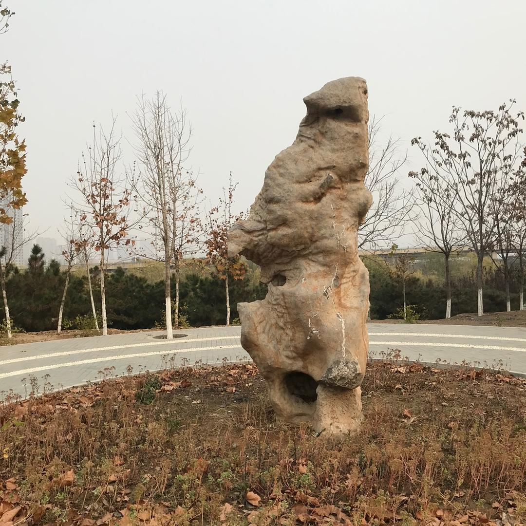 鸿运