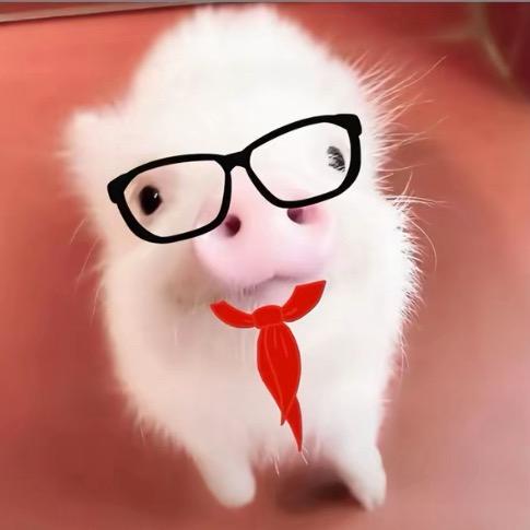 猪