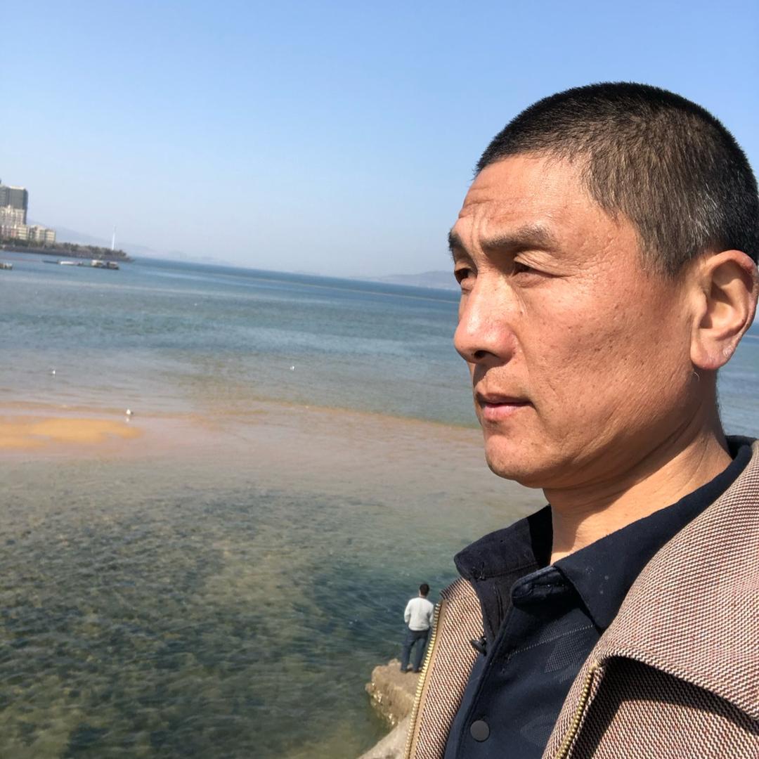 老实人