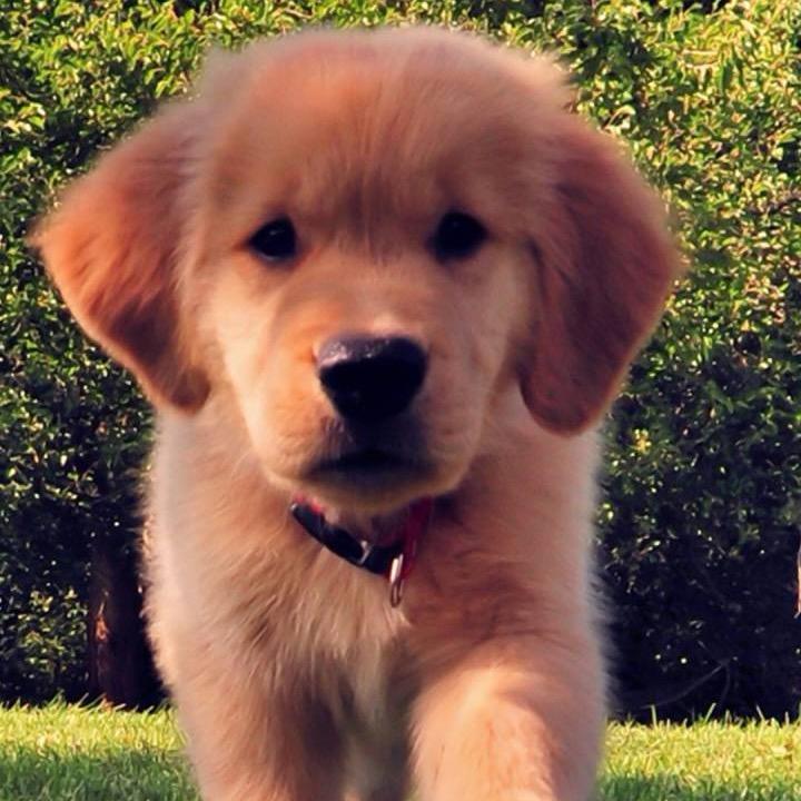 顶天立地！就是我！