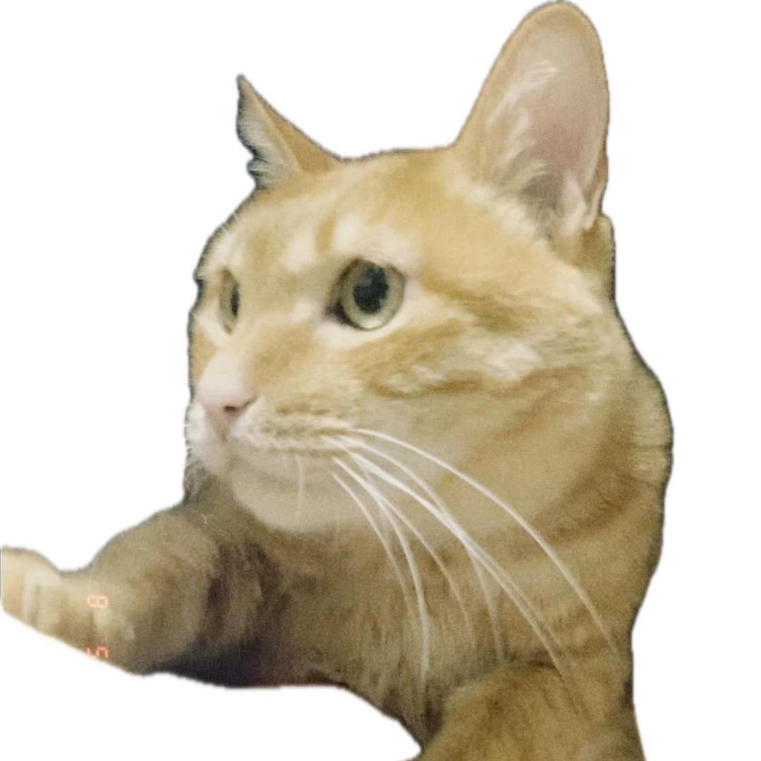 Yangttc