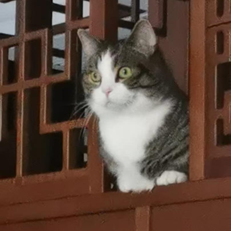 宁