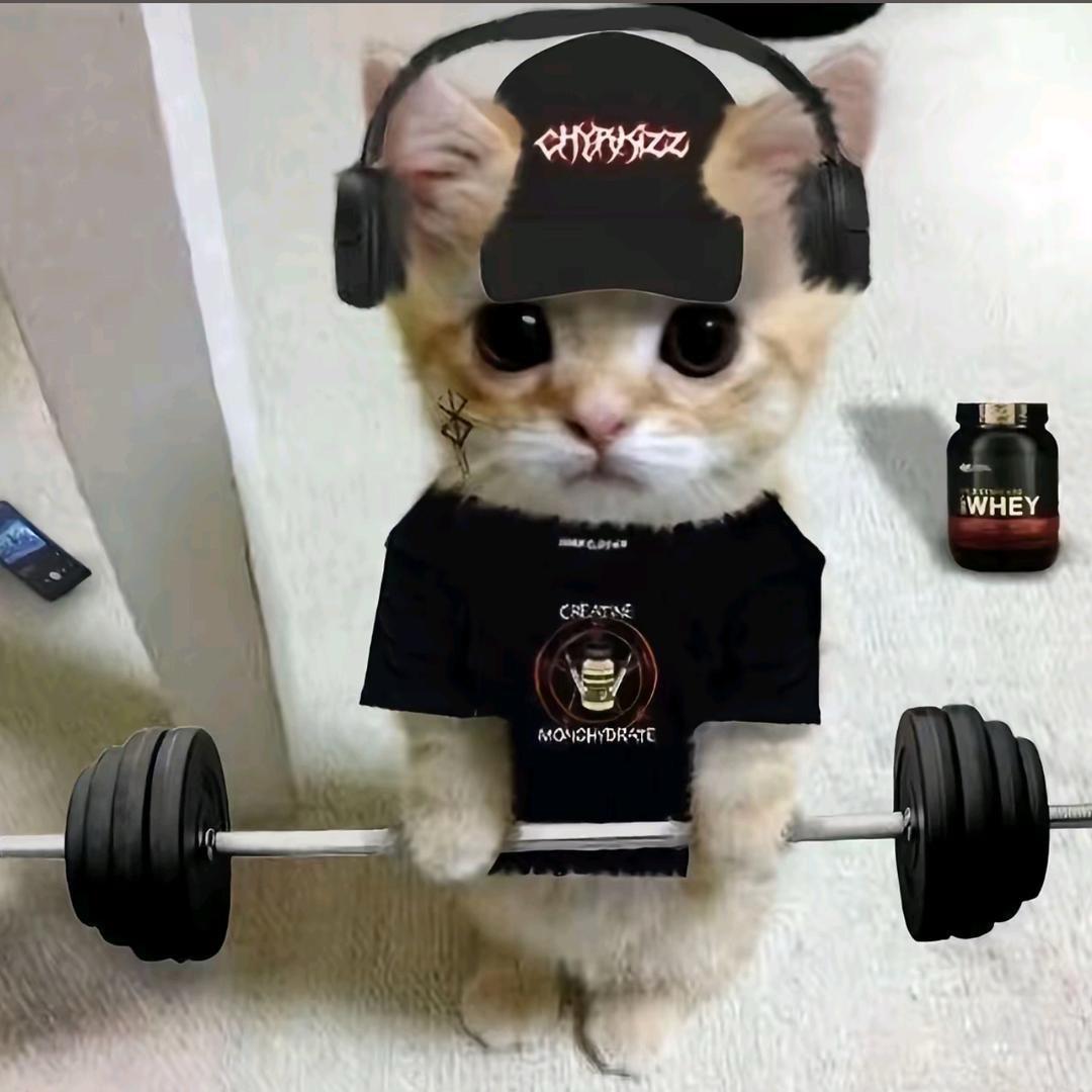 Jerry:D（增肌中）