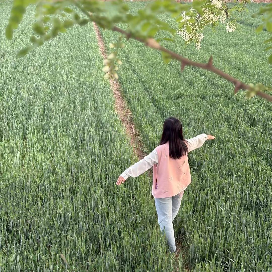 枝芽