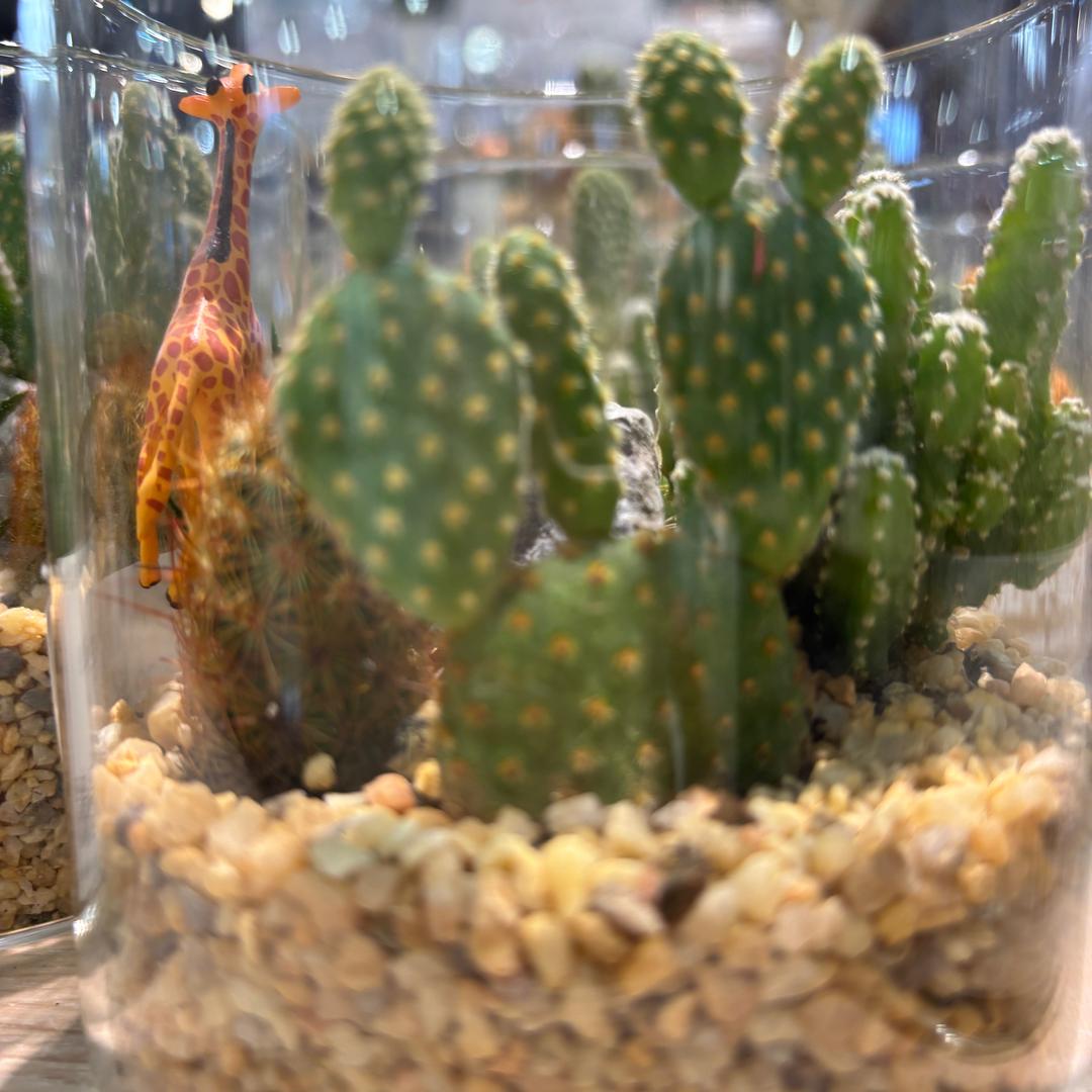 从新启航