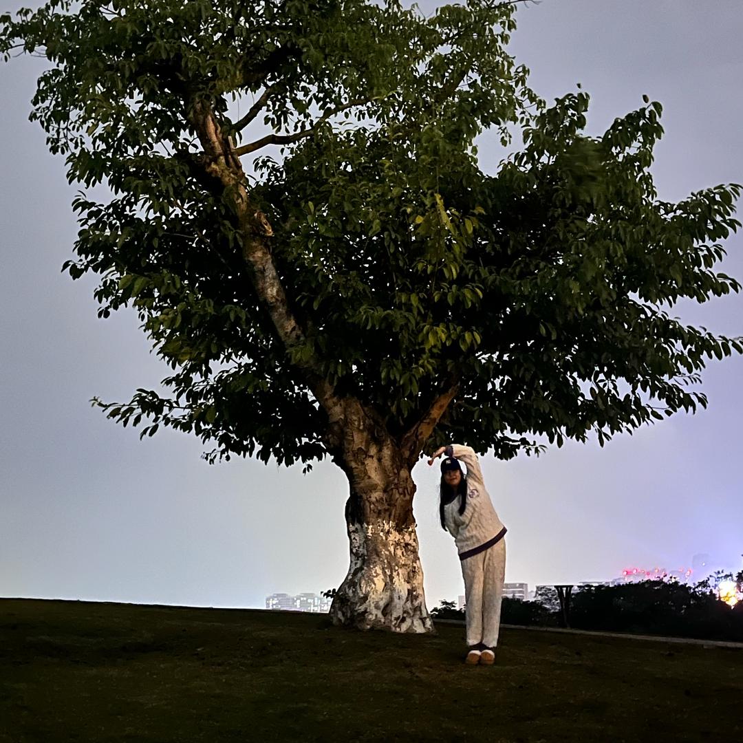 锅巴鱿鱼的脑壳二