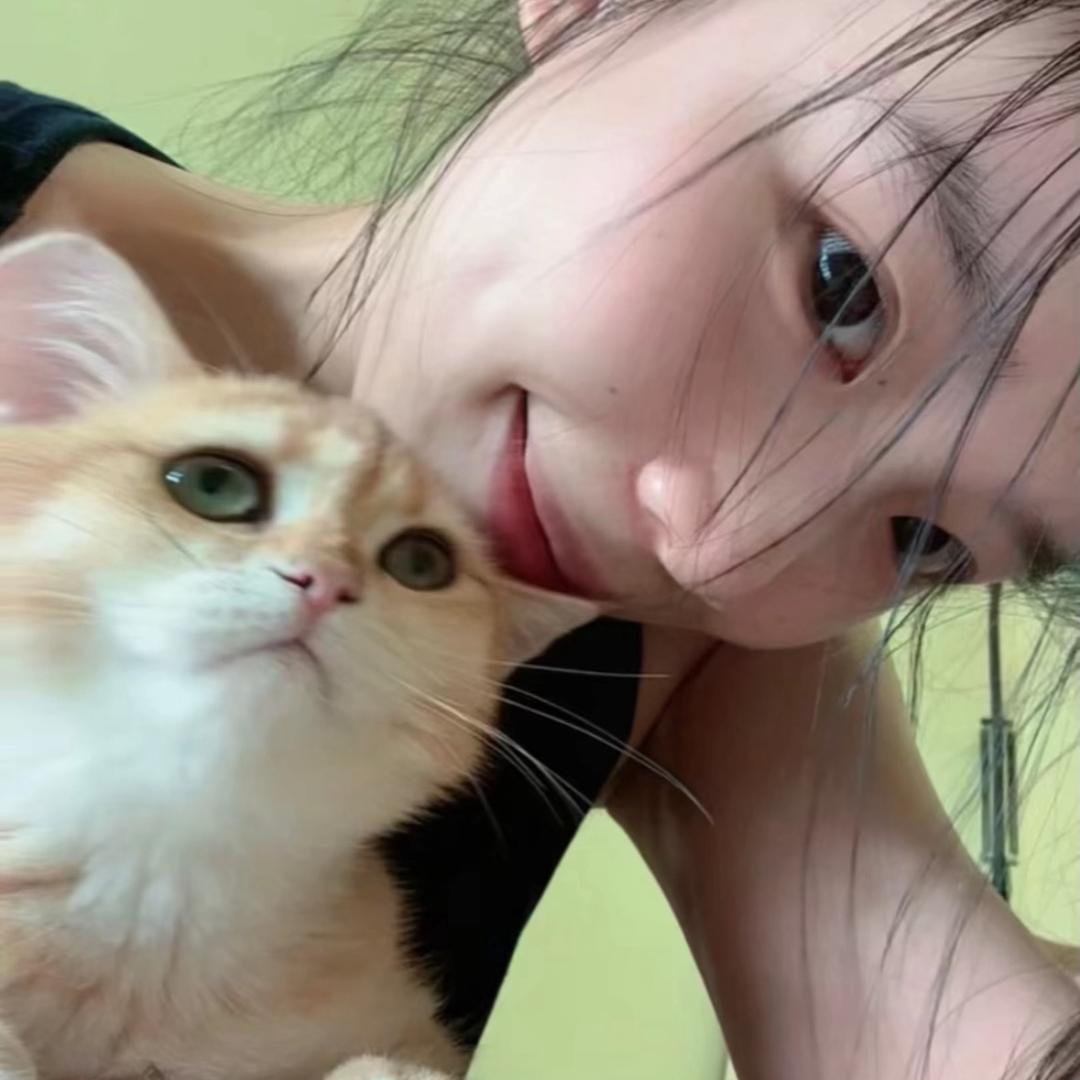 爱吃土豆泥