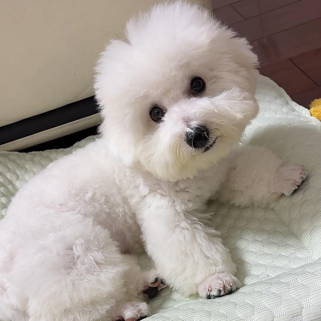 @家有元宝