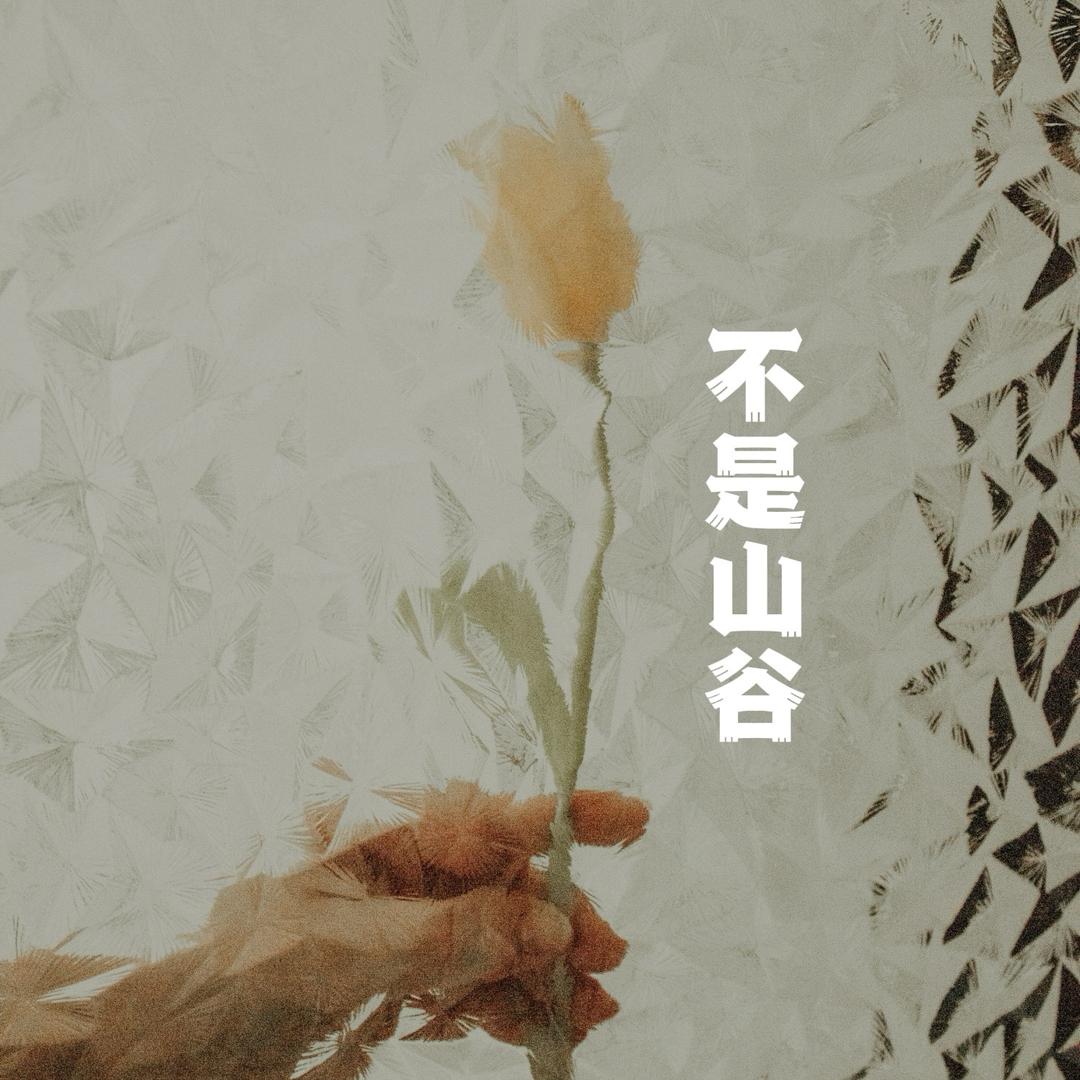 不是山谷-