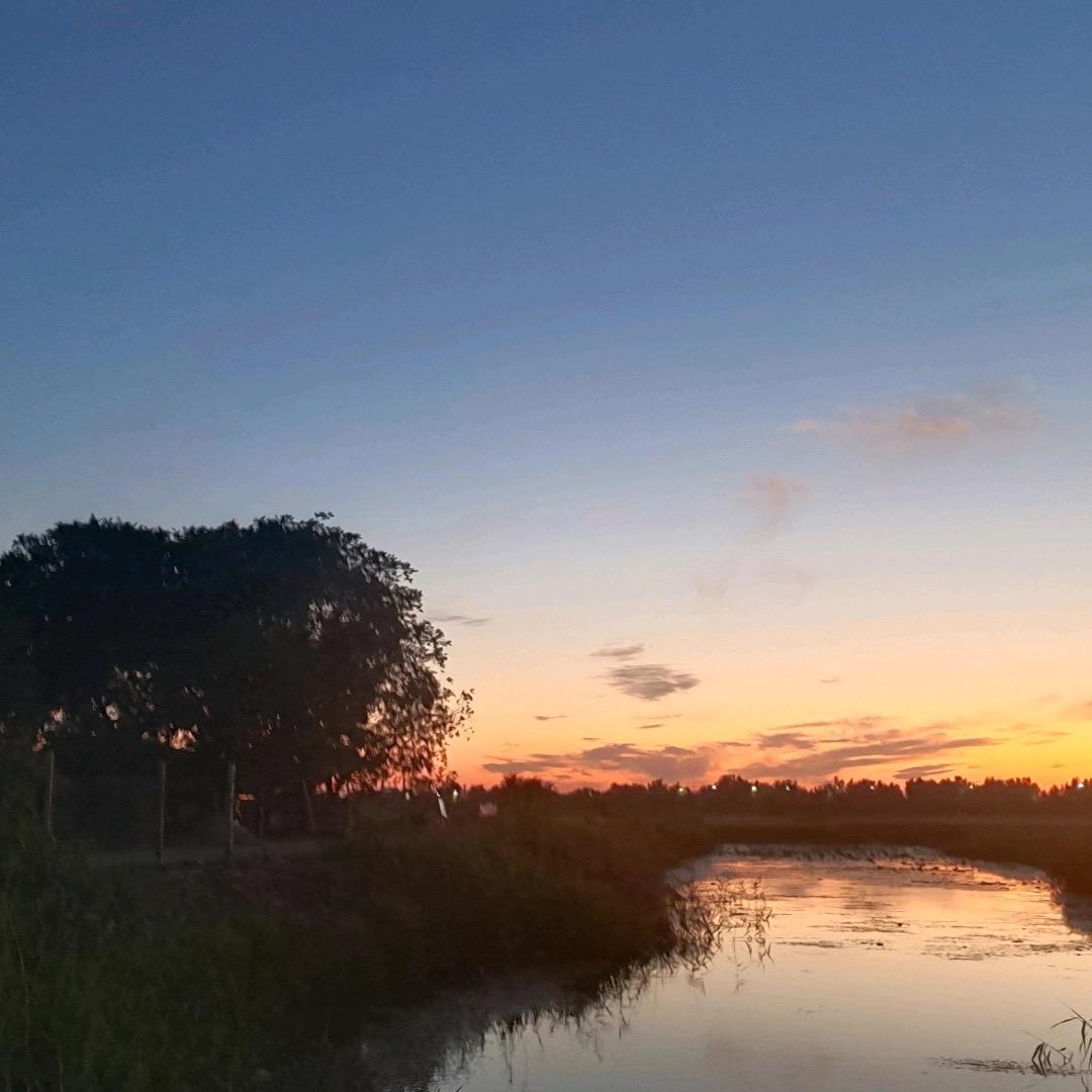 ★ 薄荷糖的味道*