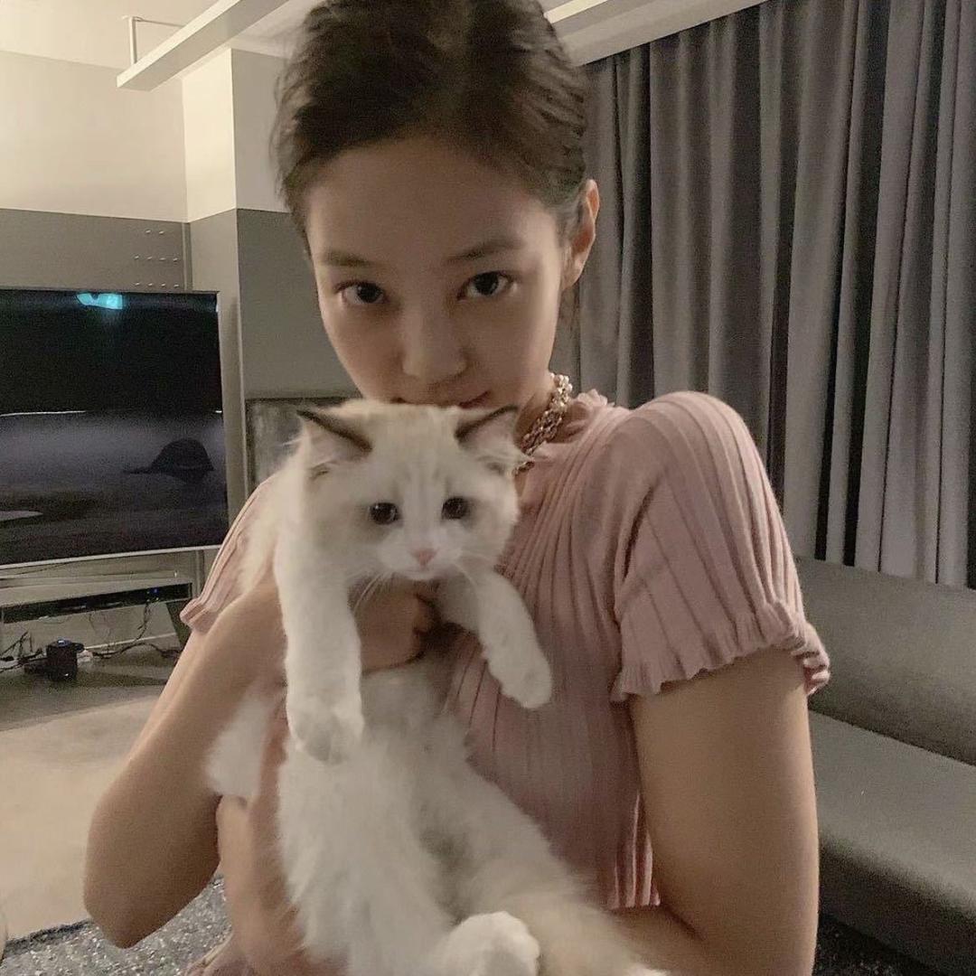 一会吃鱼丸