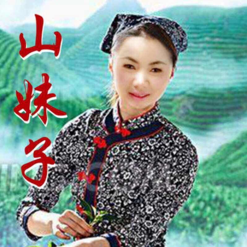 《排山家庭农场》