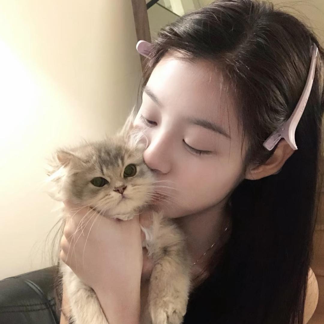 小歪的碎碎念