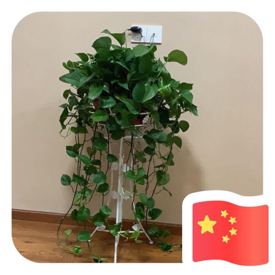 夜江南，