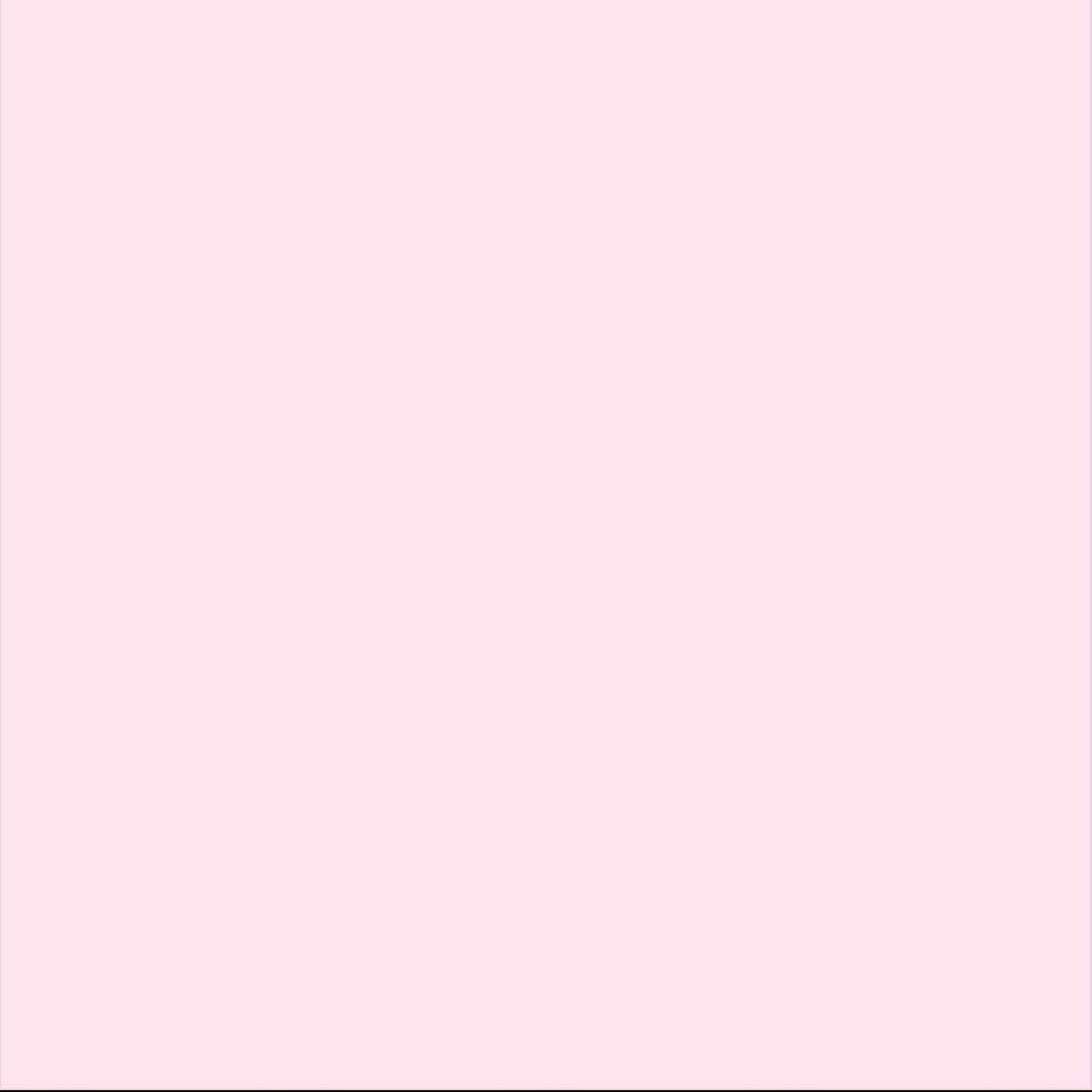 白白菜菜_