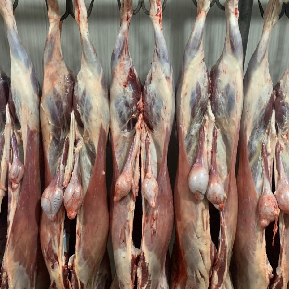 羊了个羊批发零售