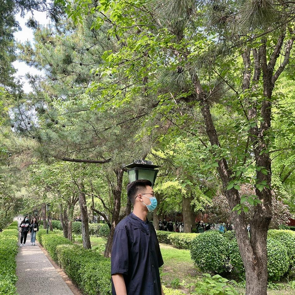 Y先生👨