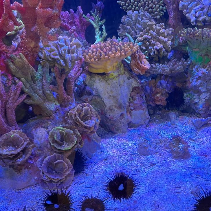 涓涓流水
