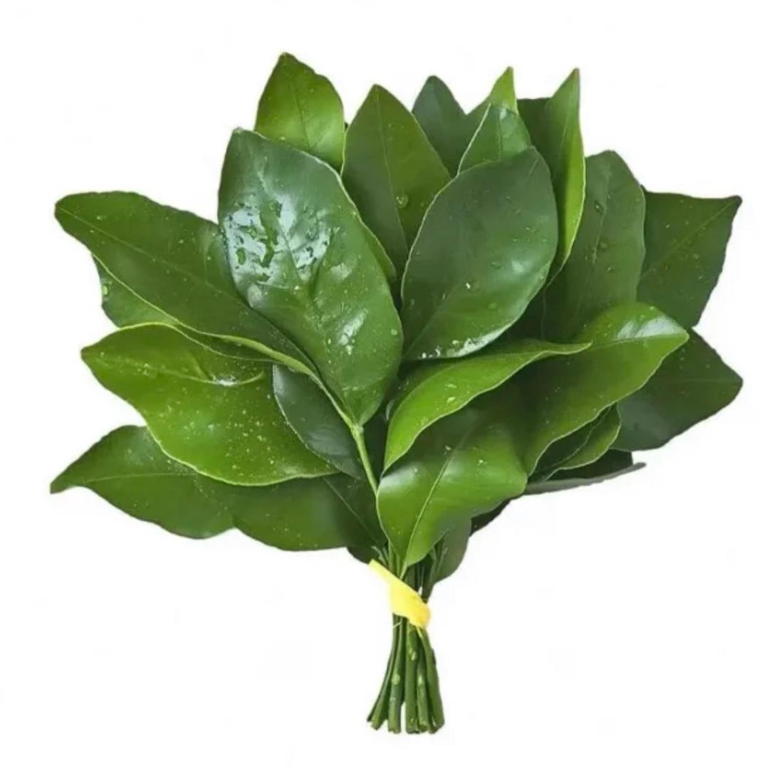 ૮₍˶•.•⑅₎ა