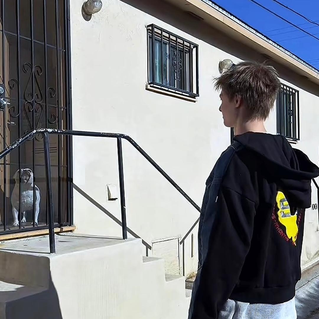 树
