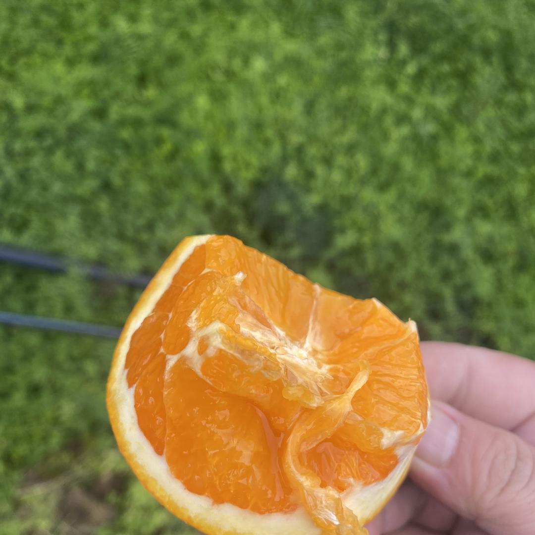 烟台王W鲜生