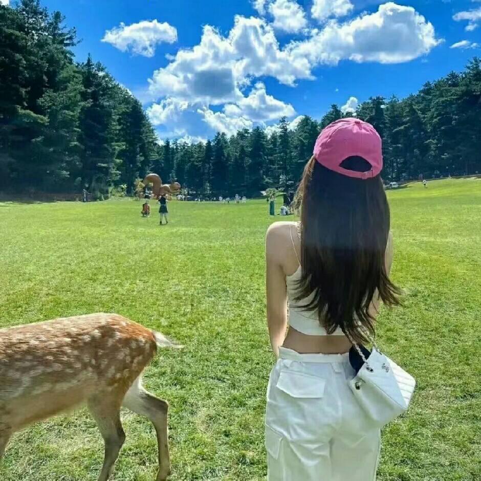 揽月$