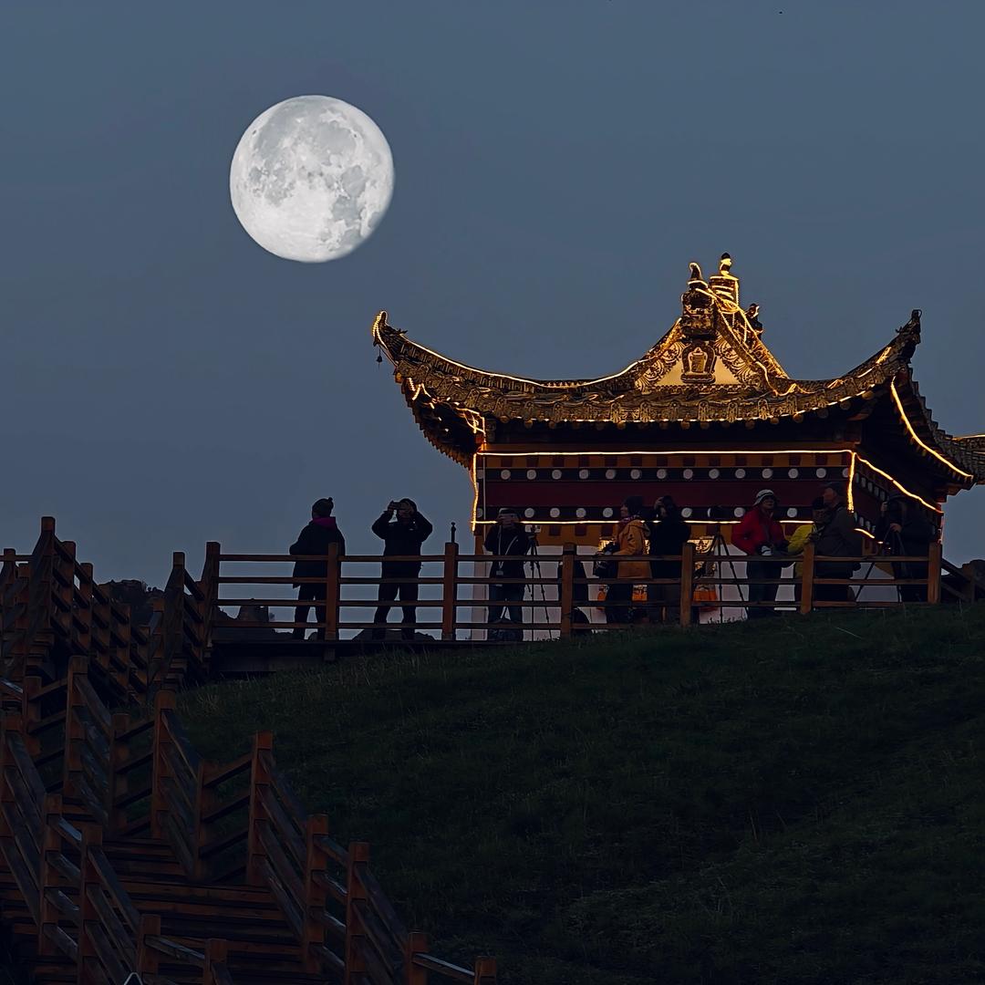 甘南摄影之家 📷