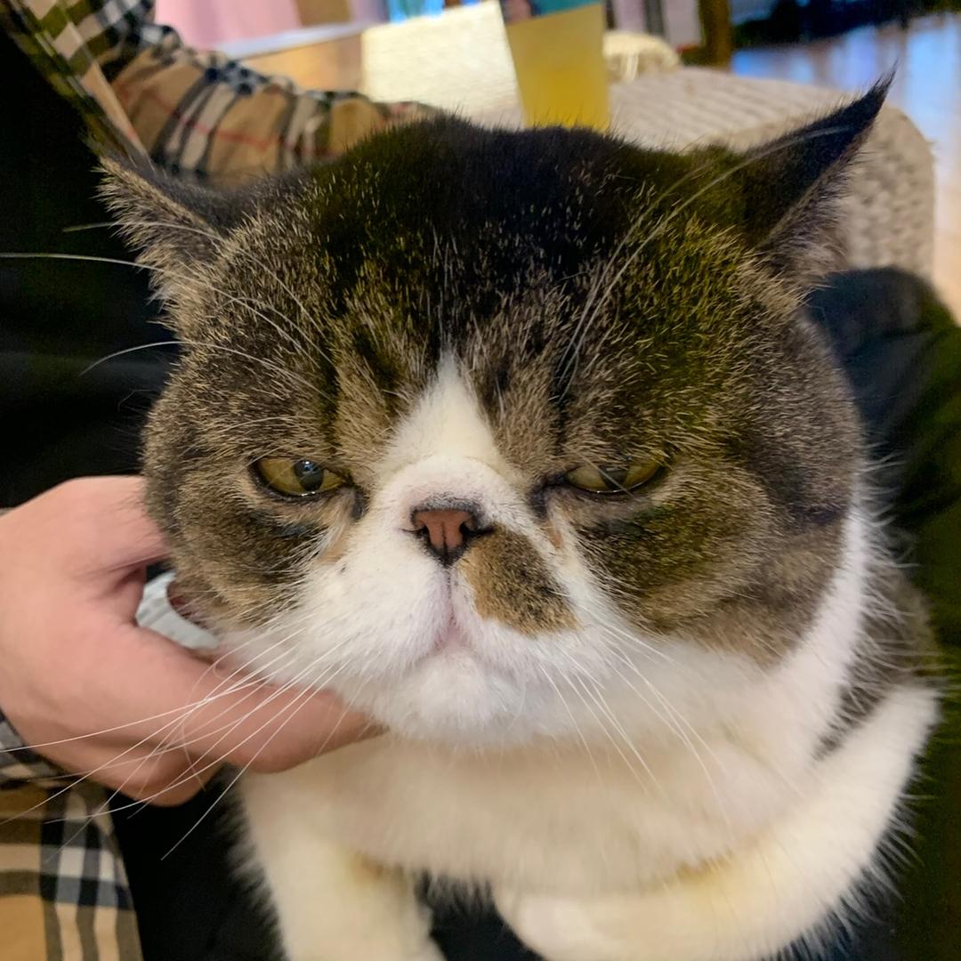 李温柔`