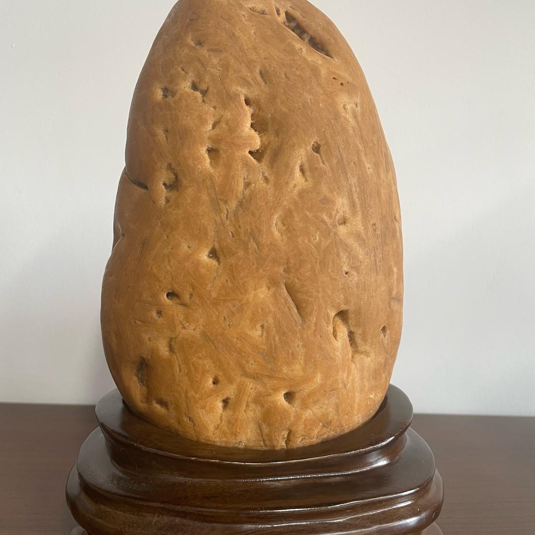 派派的零食铺
