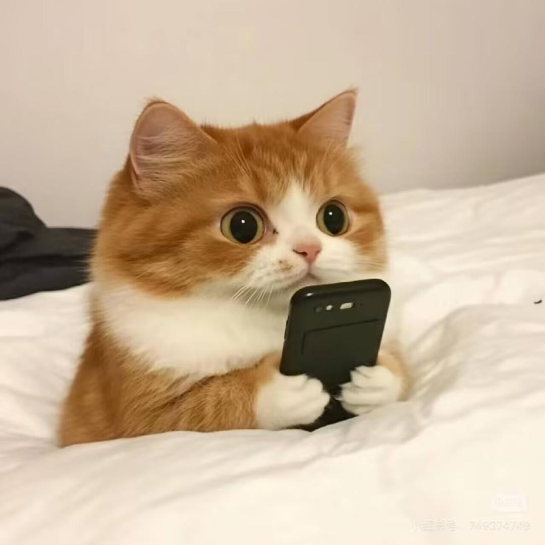 诶诶