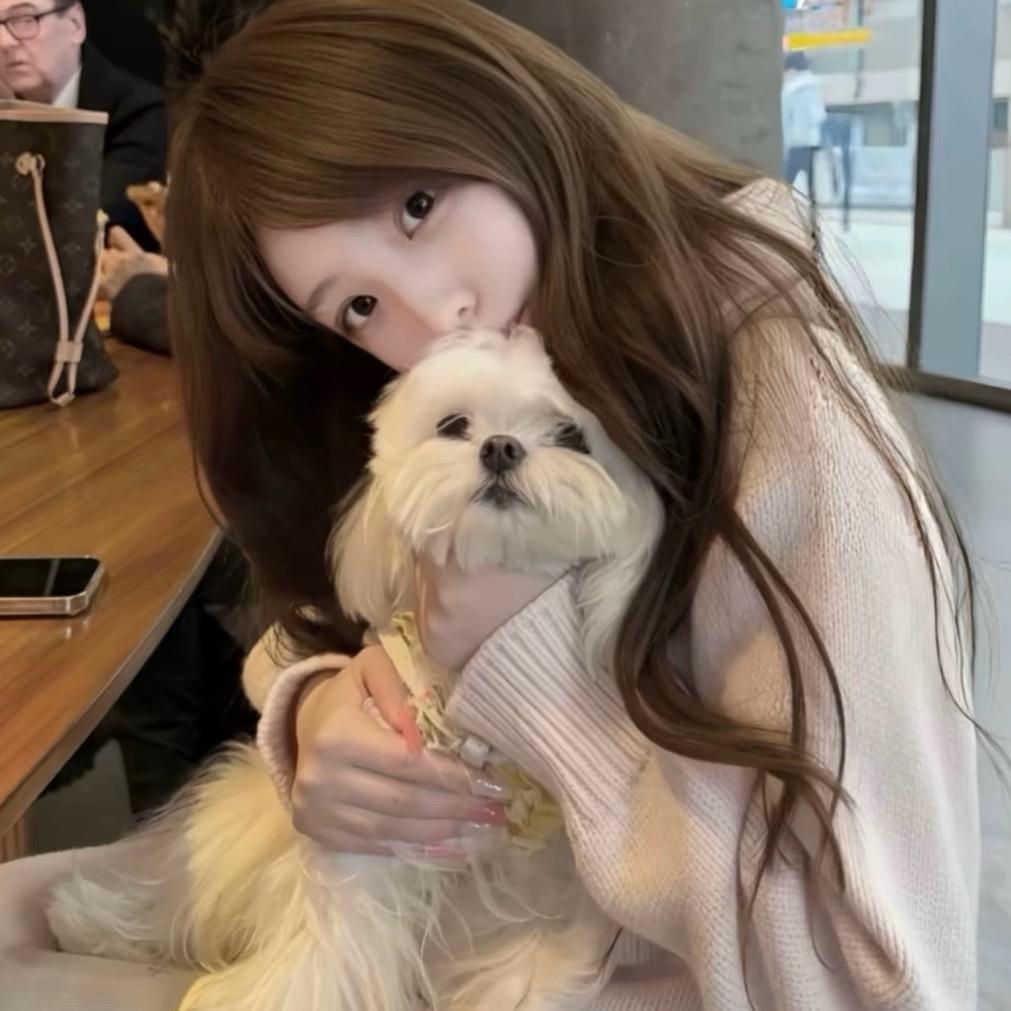 别碰我的齐刘海