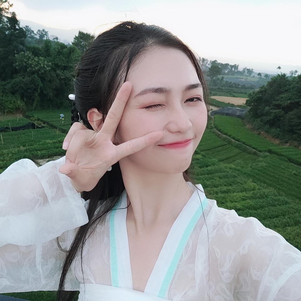 沁丰茶业厂家直销