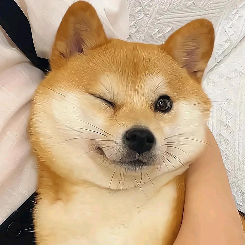碎饼干大王