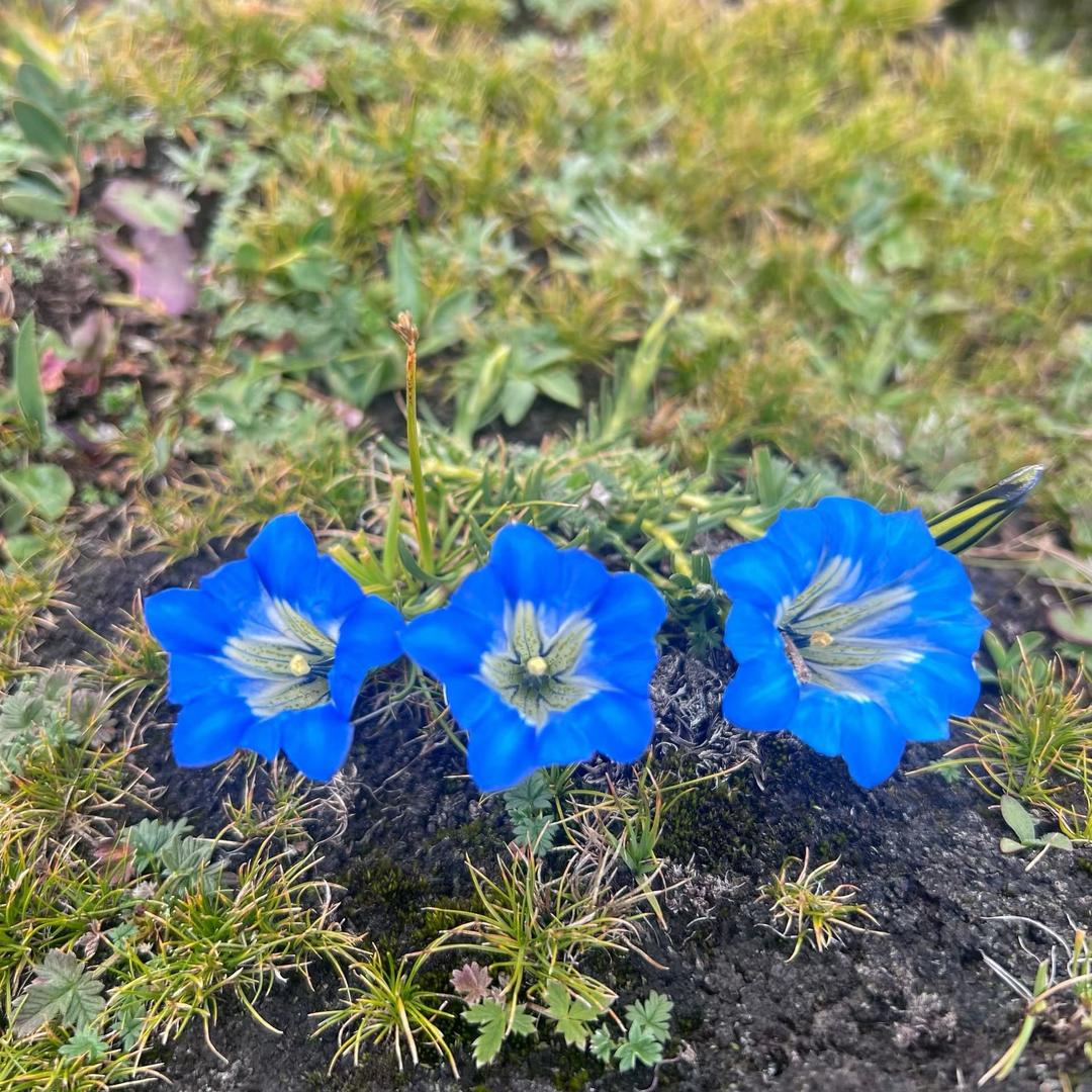 🌻W^_^M🌻
