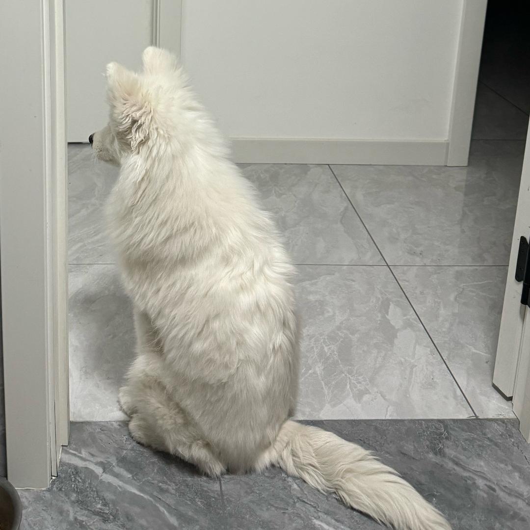 八百标兵奔北坡