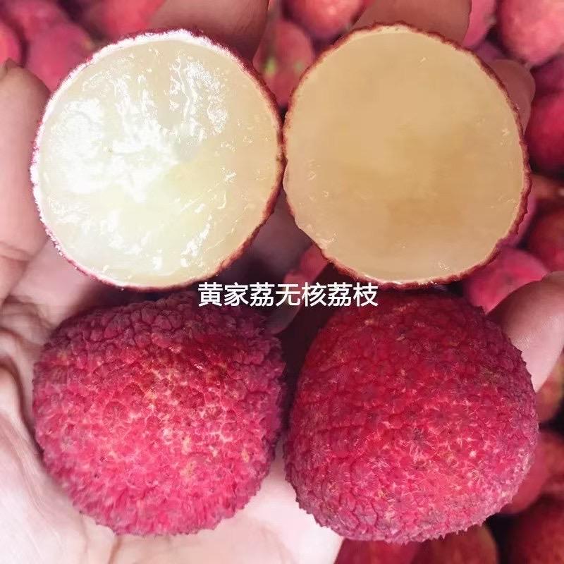 农智汇Wenn_ea^