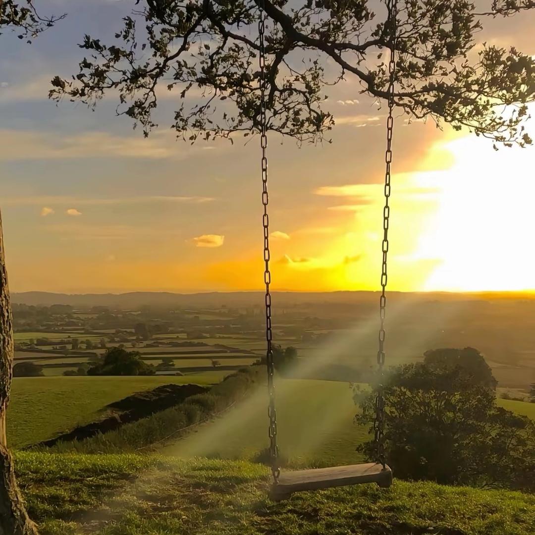 不吃香菜😜😜