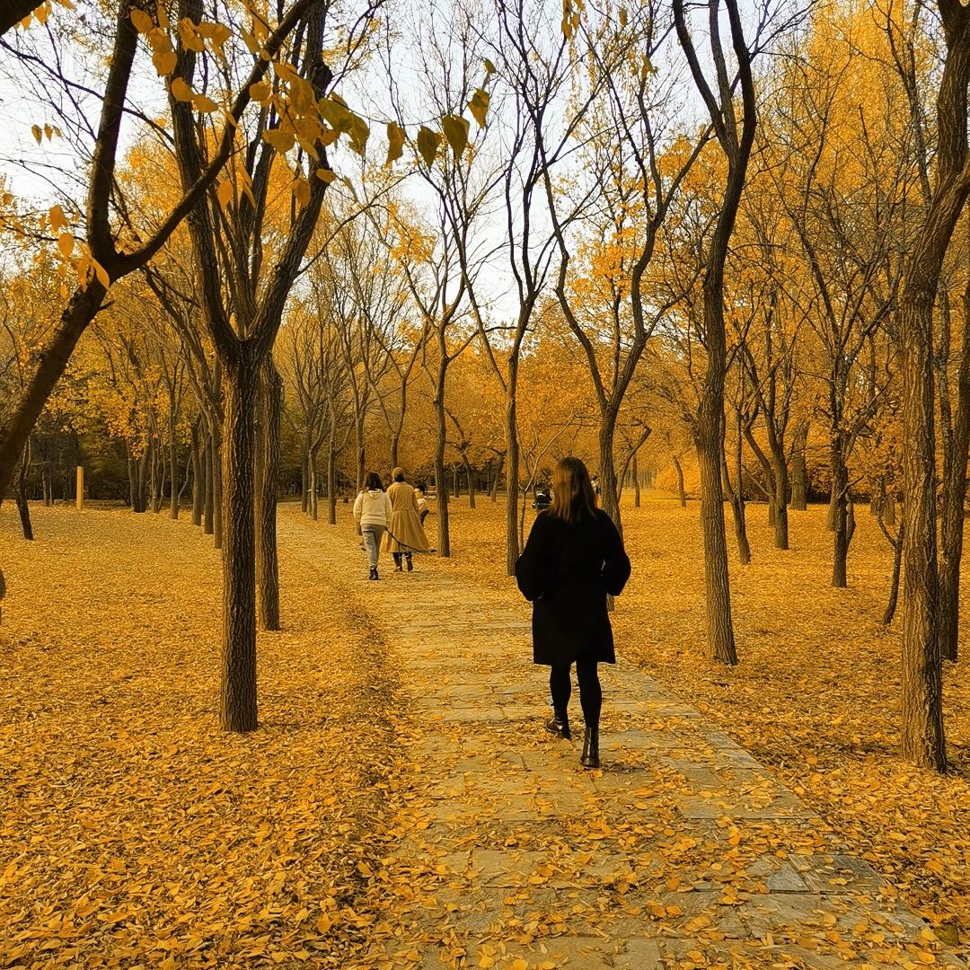 花之蕊鲜花