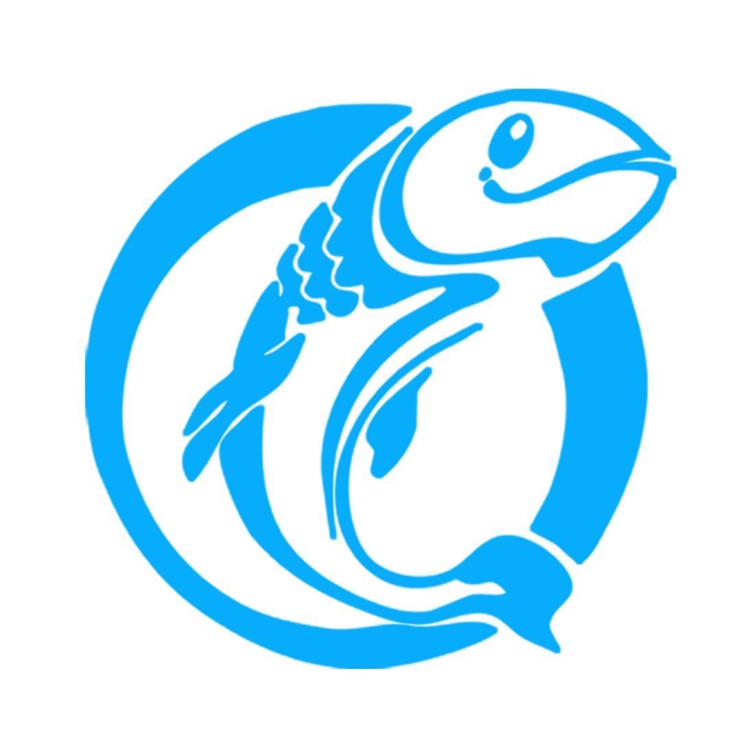 山东渔师傅户外钓具企业店
