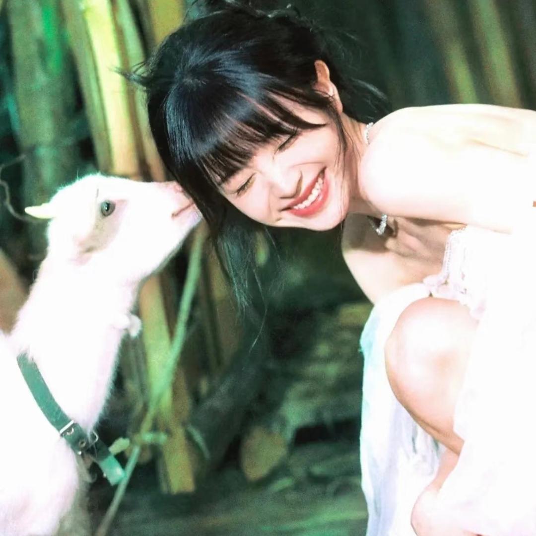 无花果❤️小红娘