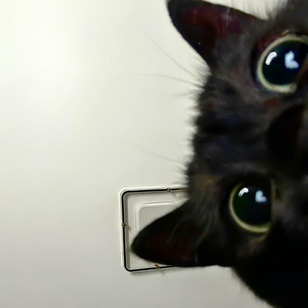 mi