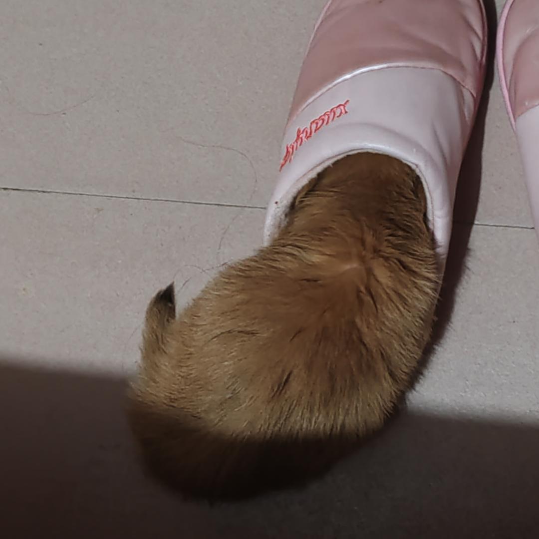 无名草