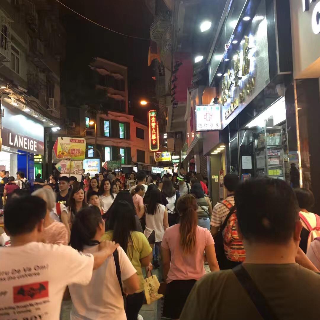余生的小胖豚豚